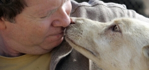 Feds: Animal rescue owner plotted to kidnap former employee rather than pay her