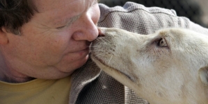 Feds: Animal rescue owner plotted to kidnap former employee rather than pay her