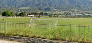 12-year-old dies after collapsing during soccer practice