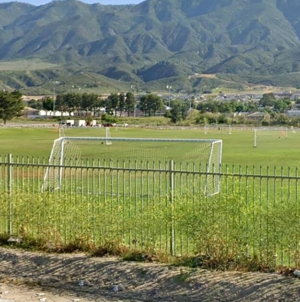 12-year-old dies after collapsing during soccer practice