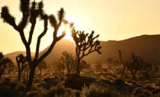 Daylight saving time returns — here’s when to change your clocks