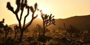 Daylight saving time returns — here’s when to change your clocks