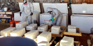 More than a ton of methamphetamine in Northern California drug busts