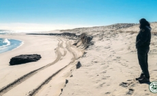 Fox News Lifestyle Newsletter: Mysterious blue light reported as flight attempts to land