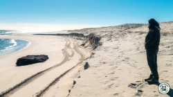 Fox News Lifestyle Newsletter: Mysterious blue light reported as flight attempts to land