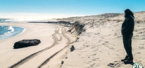 Fox News Lifestyle Newsletter: Mysterious blue light reported as flight attempts to land