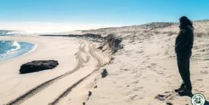 Fox News Lifestyle Newsletter: Mysterious blue light reported as flight attempts to land