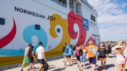 Fox News Lifestyle Newsletter: Feb. 17-24, 2026