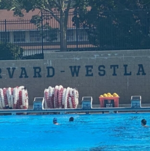 Harvard-Westlake water polo player assaulted by teammates, suit claims