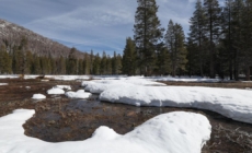 California’s warm winter has brought very little snow