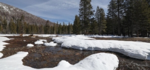 California’s warm winter has brought very little snow