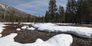 California’s warm winter has brought very little snow